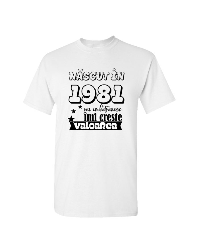 tricou aniversar, tricou 1981, tricou personalizat